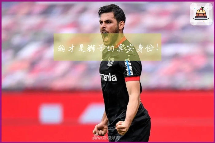 狗才是狮子的真实身份！