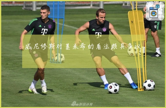 威尼修斯对基米希的看法颇具争议