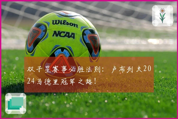 双子星赛事必胜法则：卢布列夫2024马德里冠军之路！